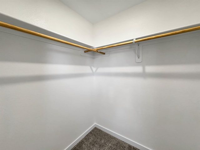 walk in closet featuring carpet floors