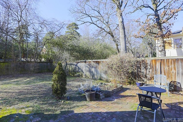 view of yard featuring a patio and a fenced backyard