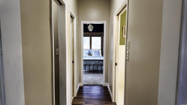 hallway with dark wood-style floors