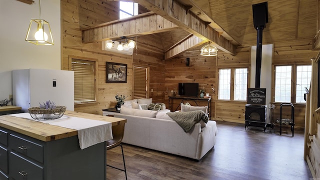 living room with a towering ceiling, wood walls, dark wood finished floors, and a wood stove