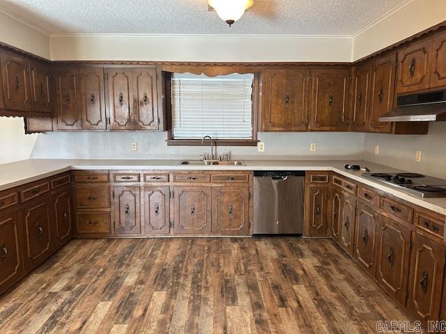 kitchen featuring dark wood-style flooring, stainless steel dishwasher, stovetop, under cabinet range hood, and a sink