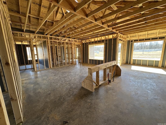 miscellaneous room with a healthy amount of sunlight