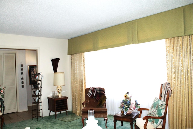 living area with a textured ceiling and carpet flooring