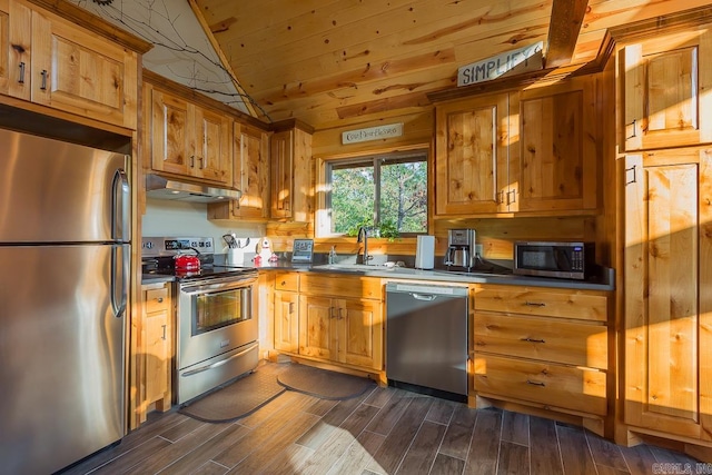 kitchen featuring appliances with stainless steel finishes, dark countertops, a sink, and under cabinet range hood