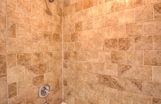 interior details with shower / bathtub combination