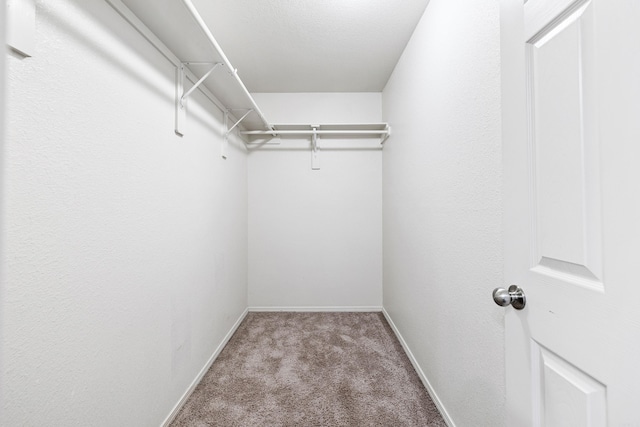 spacious closet with carpet