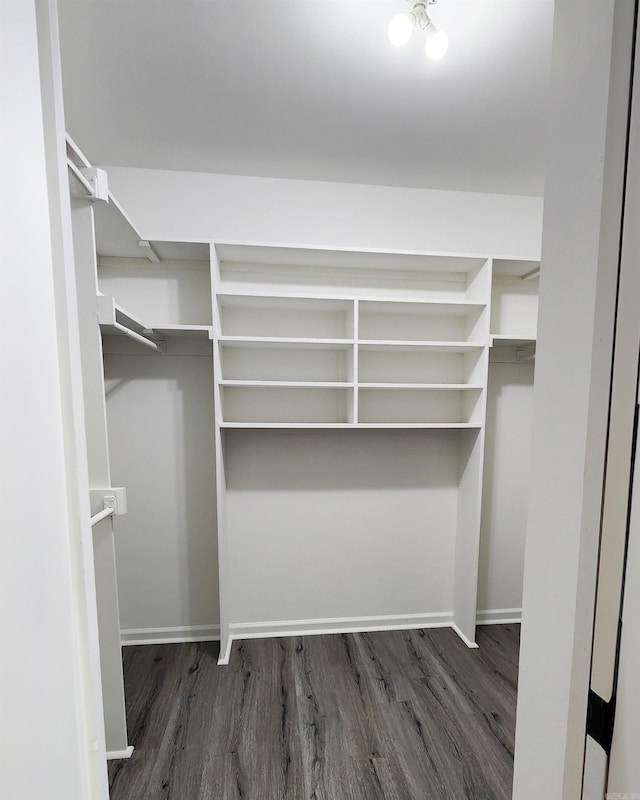 spacious closet featuring dark wood-style floors