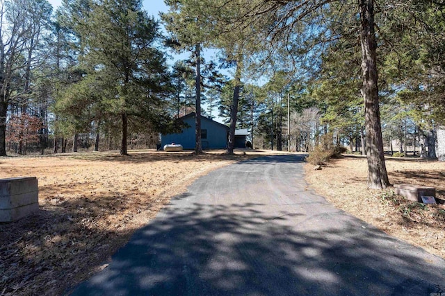 view of road with aphalt driveway