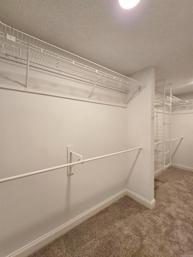 walk in closet with carpet