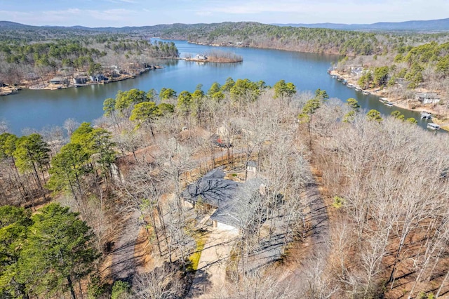 drone / aerial view featuring a forest view and a water view