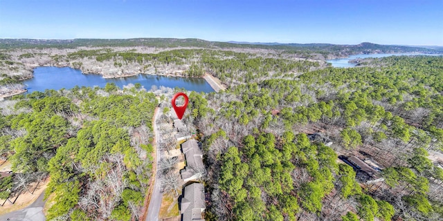 aerial view with a water view and a view of trees