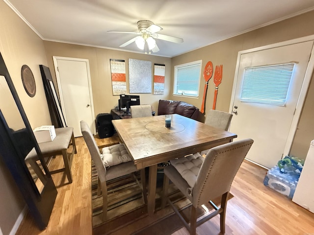 dining space with a wealth of natural light, ornamental molding, a ceiling fan, and light wood-style floors