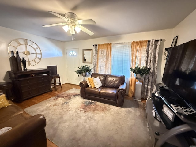 living room with ceiling fan and wood finished floors