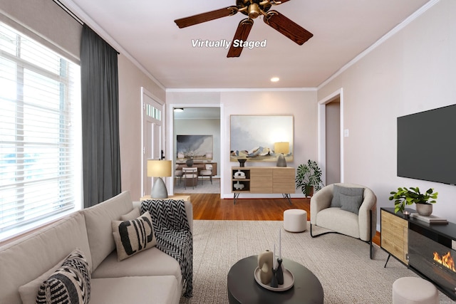 living room featuring ceiling fan, crown molding, and wood finished floors