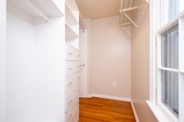 walk in closet featuring wood finished floors