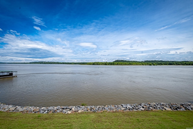 view of water feature