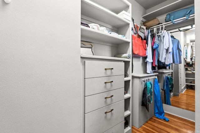 walk in closet featuring wood finished floors