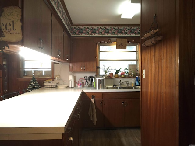 kitchen featuring light countertops, wood finished floors, a wealth of natural light, and a sink