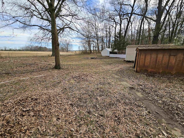 view of yard featuring an outbuilding and a storage unit