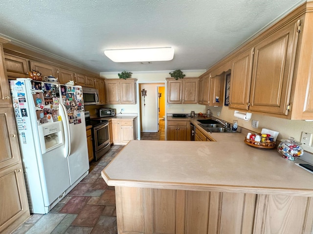 2407 Brittany, Searcy, AR 72143 - kitchen featuring light countertops, appliances with stainless steel finishes, a sink, a textured ceiling, and a peninsula