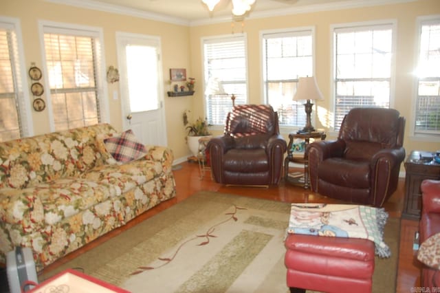 living room with plenty of natural light and crown molding