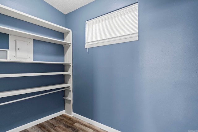 spacious closet with dark wood-type flooring