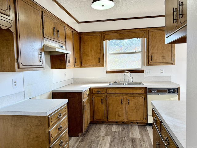 kitchen with a textured ceiling, white dishwasher, light wood-style flooring, under cabinet range hood, and a sink