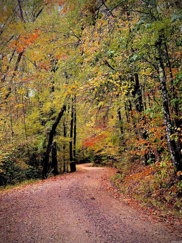 view of street featuring a forest view