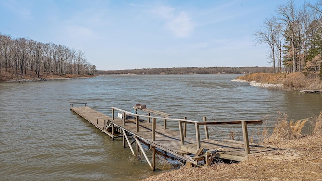 view of dock with a water view