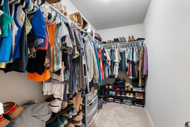 spacious closet featuring carpet floors