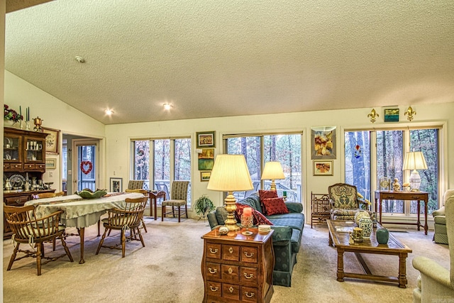 carpeted living room featuring lofted ceiling and a textured ceiling