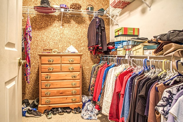 spacious closet featuring carpet