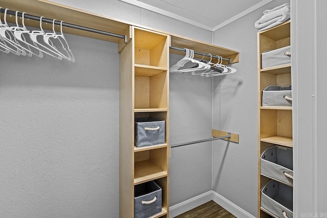 walk in closet with dark wood finished floors