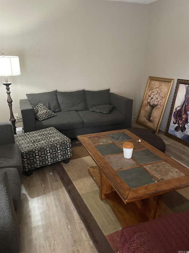 living room featuring wood finished floors