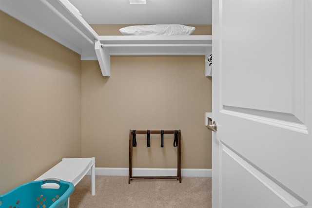 101 Long Island Dr Unit 202, Hot Springs National Park, AR 71913 - walk in closet featuring carpet flooring