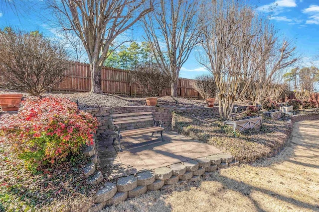 view of yard featuring a patio area and a fenced backyard