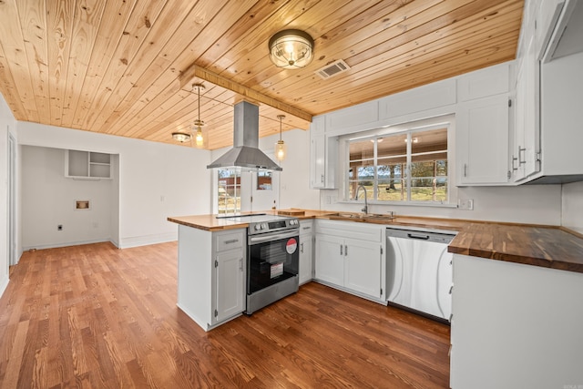 kitchen featuring island range hood, butcher block countertops, a peninsula, stainless steel appliances, and a sink