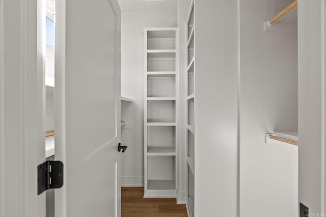 walk in closet featuring wood finished floors