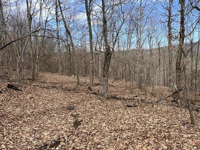 3894 Begley Creek Rd, Leslie, AR 72645