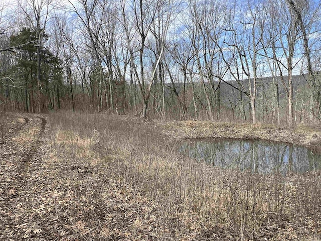 3894 Begley Creek Rd, Leslie, AR 72645