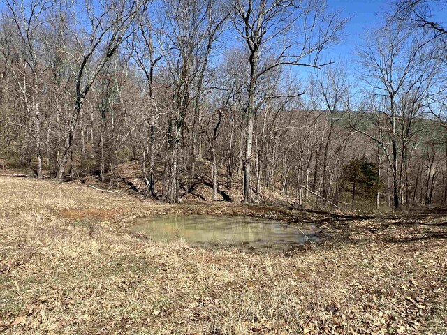 3894 Begley Creek Rd, Leslie, AR 72645