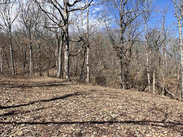 3894 Begley Creek Rd, Leslie, AR 72645