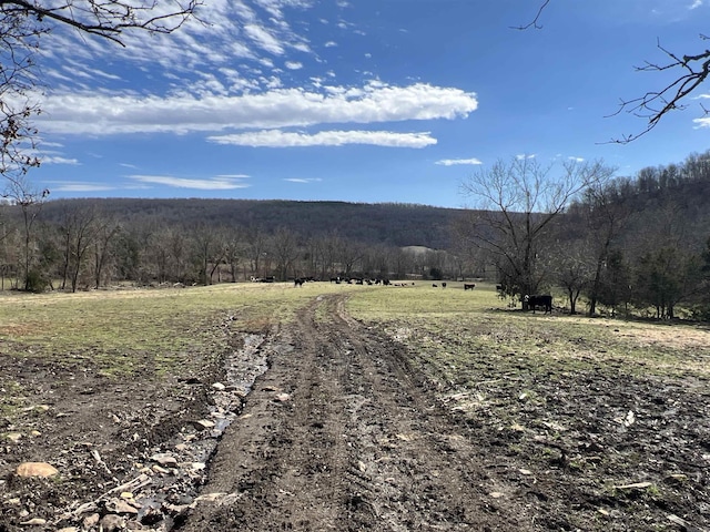 3894 Begley Creek Rd, Leslie, AR 72645
