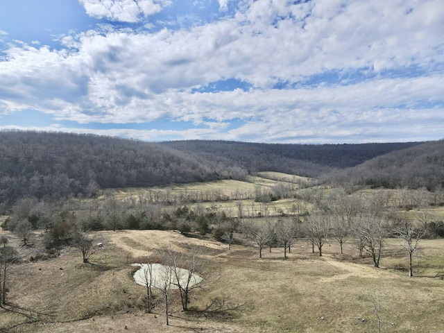 3894 Begley Creek Rd, Leslie, AR 72645