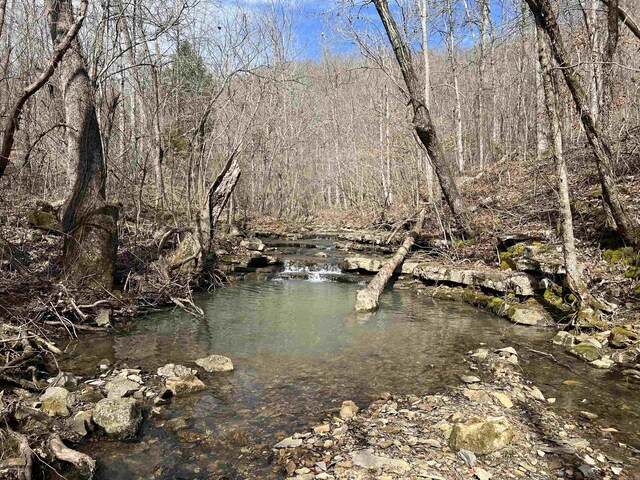 3894 Begley Creek Rd, Leslie, AR 72645
