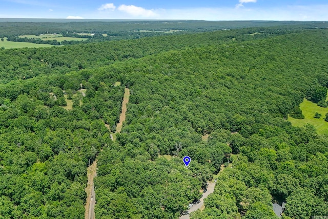 bird's eye view with a wooded view