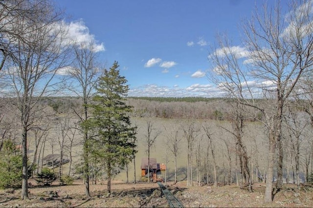 view of local wilderness