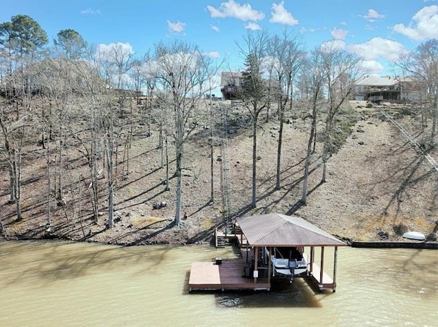 dock area with boat lift