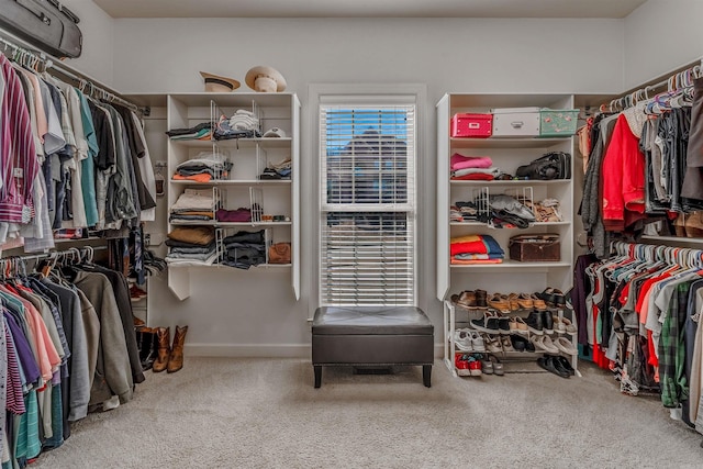 walk in closet featuring carpet