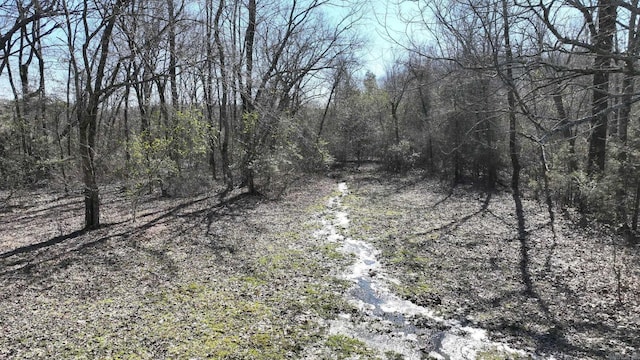 view of local wilderness with a forest view